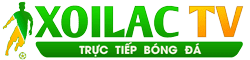 ghế tập tạ